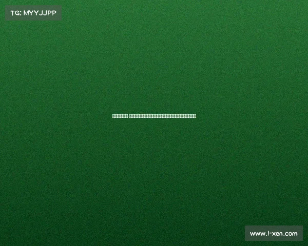 赛事生态运营-赛事生态系统的构建与优化：打造互联互通创新发展新格局